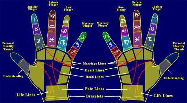 Palmistry Pictures, Images and Photos