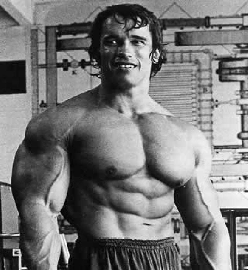 arnold schwarzenegger workout book. Arnold: Who#39;s body/physique