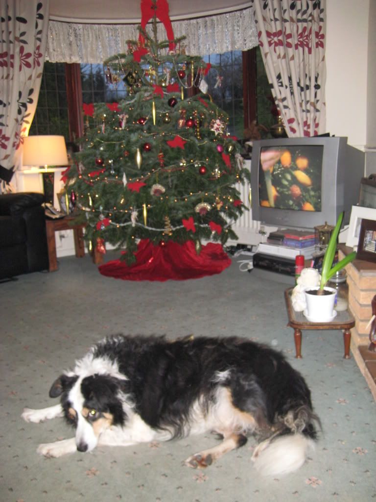xmas2008020.jpg