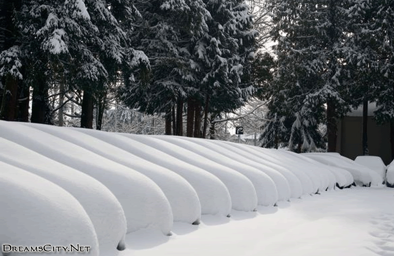 ثلوج خلفيات ثلوج وخلفيات ثلوج مناظر ثلوج Incredible Snow Photos from