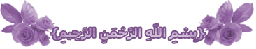 ايقونات ايقونات