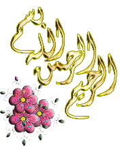 ايقونات ايقونات