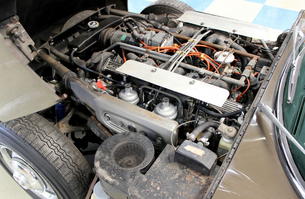  photo 053-IMG_6350_zpsuz5y1ybi.jpg