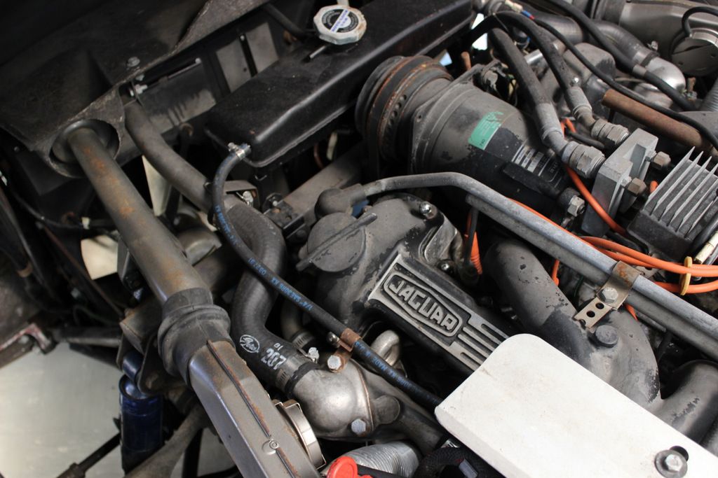  photo 058-IMG_6355_zps7pfsjbtx.jpg