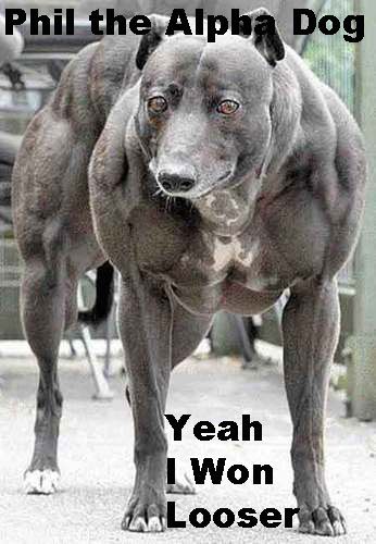 Dog-Phil-Heath_zpsjqj4alaw.jpg