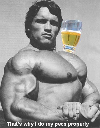 arnold-pecs1_zpse17trccq.jpg