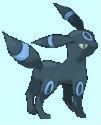 Umbreon 6 Pictures, Images and Photos