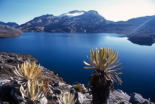 Paisajes de cada Región de colombia