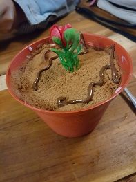 hidden cafe yogyakarta soil in pot