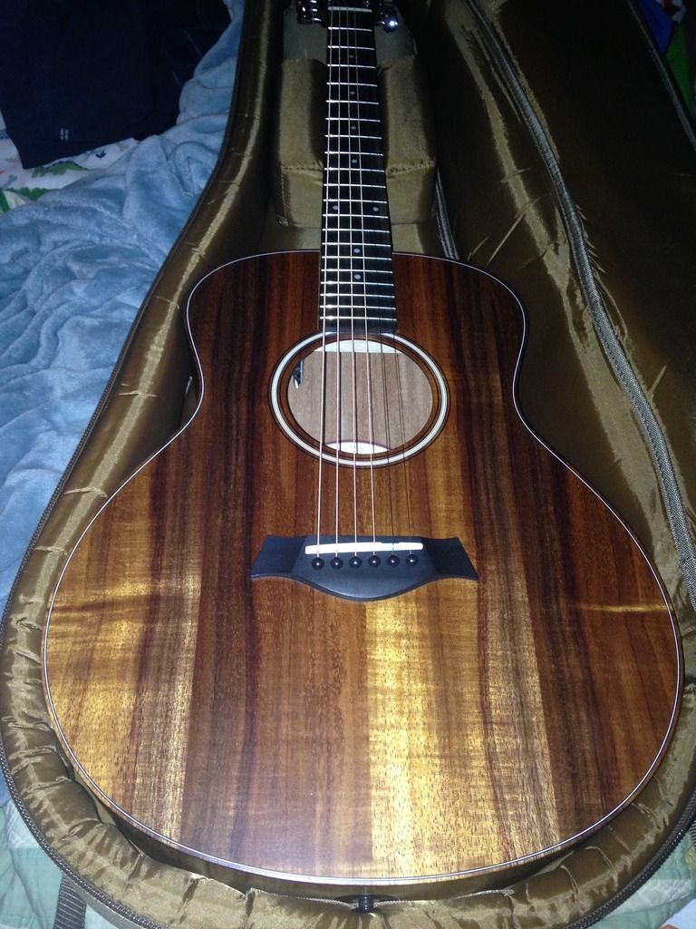 GS Minie Koa ftld pickguard? The Acoustic Guitar Forum