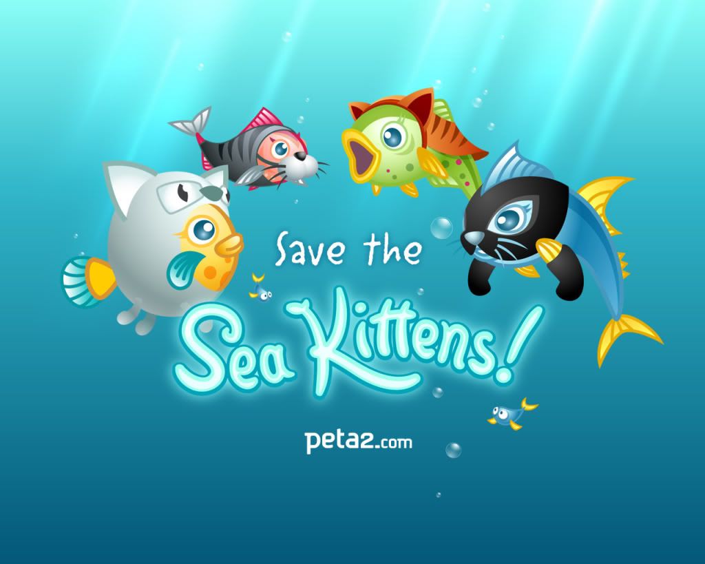 sea kittens Pictures, Images and Photos