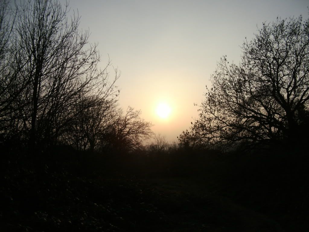 PICT0430.jpg