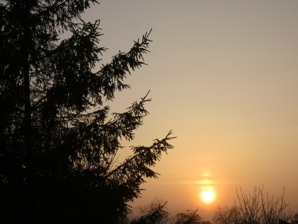 PICT0459.jpg