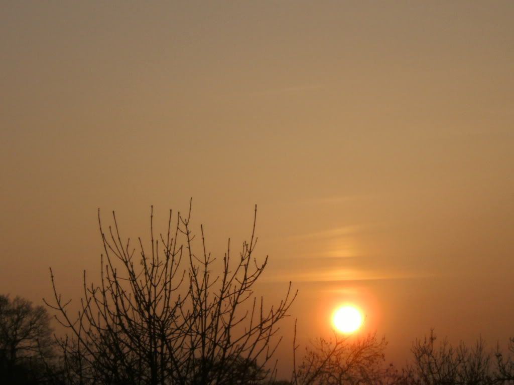 PICT0461.jpg
