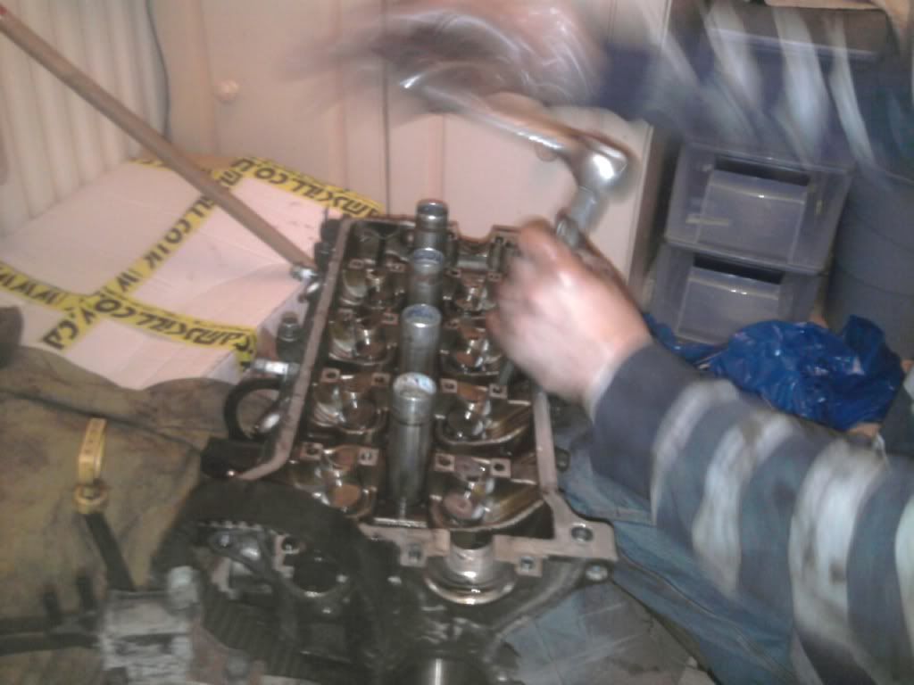 Photo0367.jpg