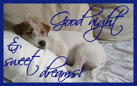 goodnight and sweet dreams Pictures, Images and Photos