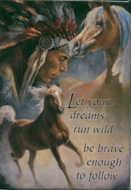 native american Pictures, Images and Photos