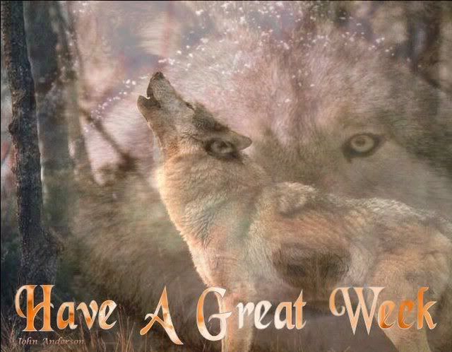 wolves week Pictures, Images and Photos