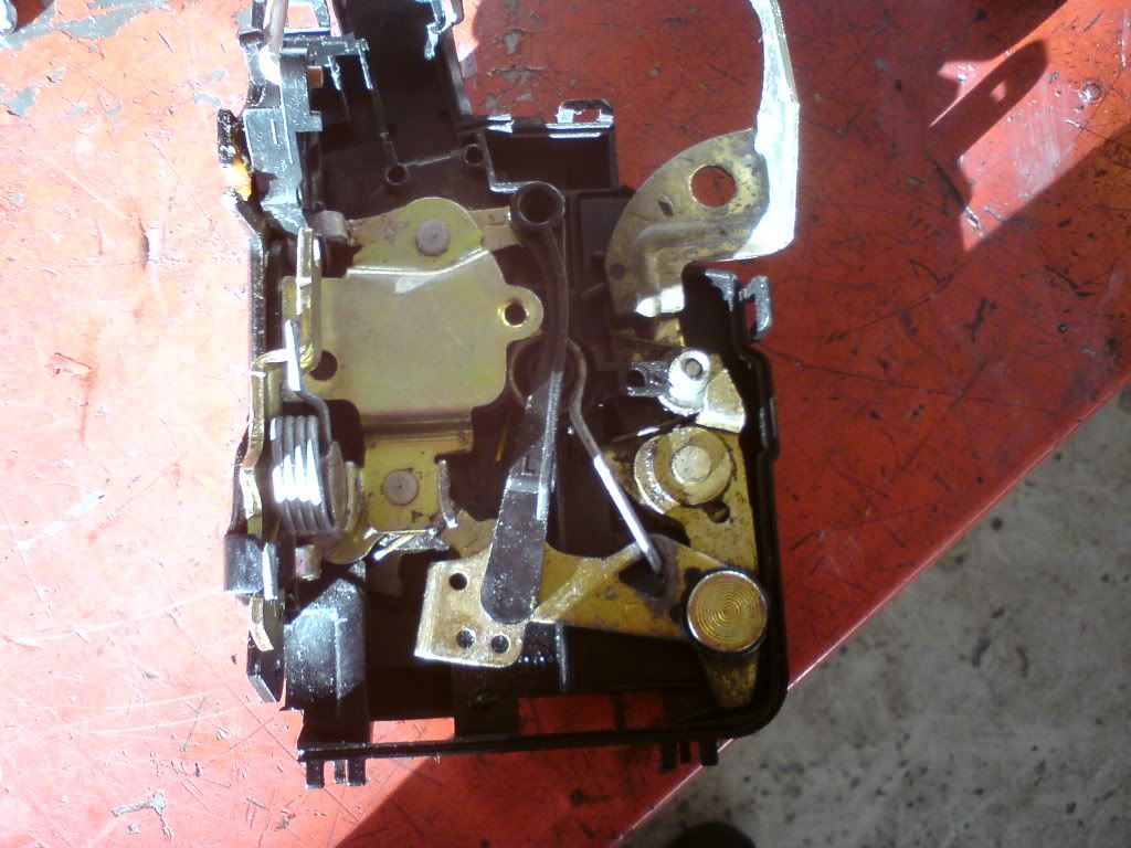 DSC00491.jpg?t=1262515882