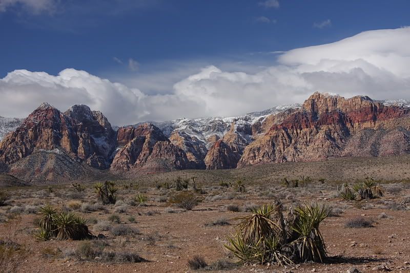 IMAGE: http://i376.photobucket.com/albums/oo209/mistermooster1/RedRockCanyon.jpg