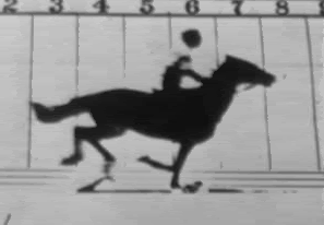 Muybridge Gif Pictures, Images and Photos
