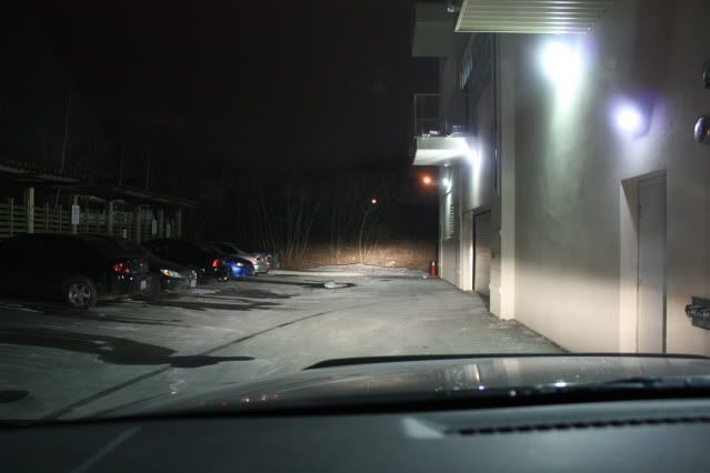 IMG_5973.jpg