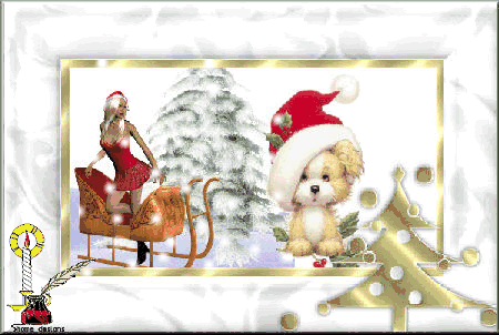  photo 10.gif