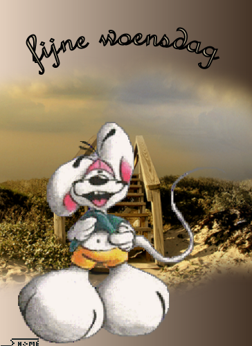  photo wfwo2vj4woensdag.png