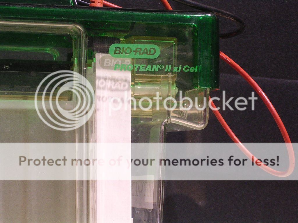 BIO RAD Protean II xi Cell, Electrophoresis Cell  